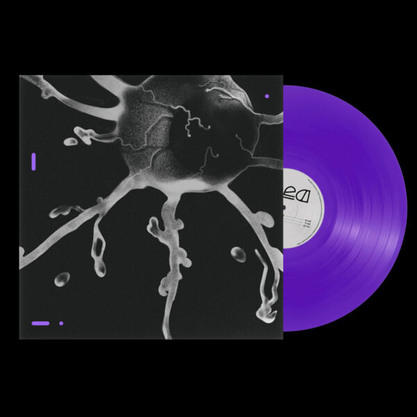 bled winyl fioletowy violet vinyl terraz incognita