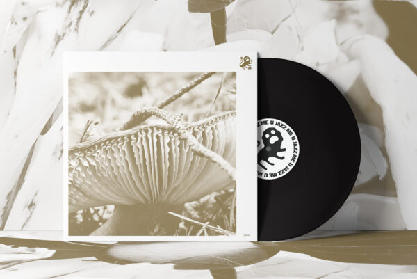late night poems rise and bloom vinyl