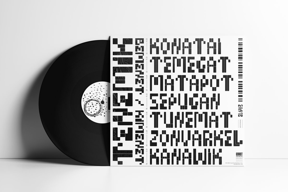 teremik winyl vinyl yac polak